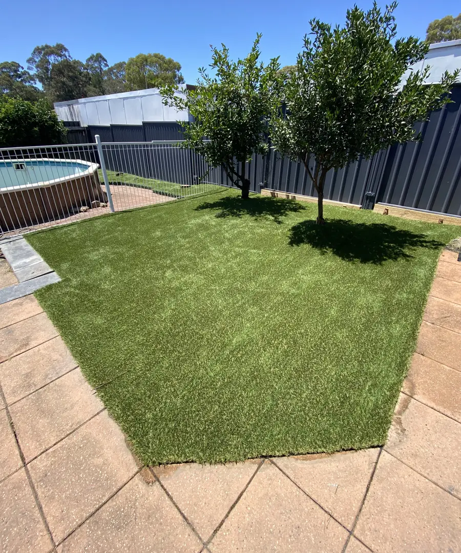 After: Overgrown garden bed to lawn