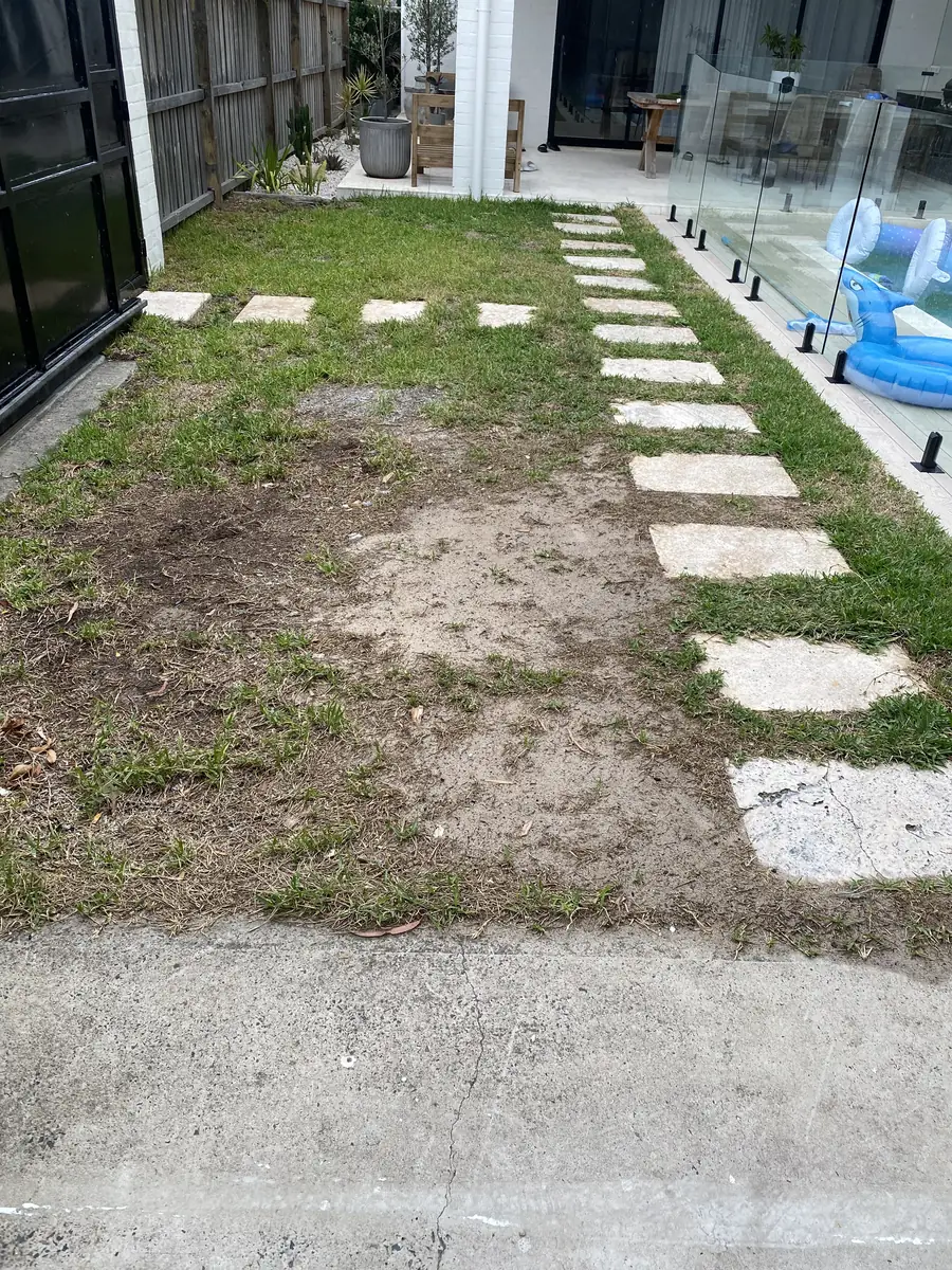 Before: Patchy grass beside the pool